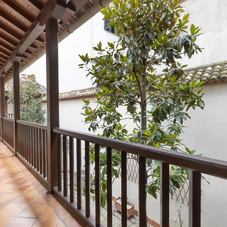 Siesta Almona
